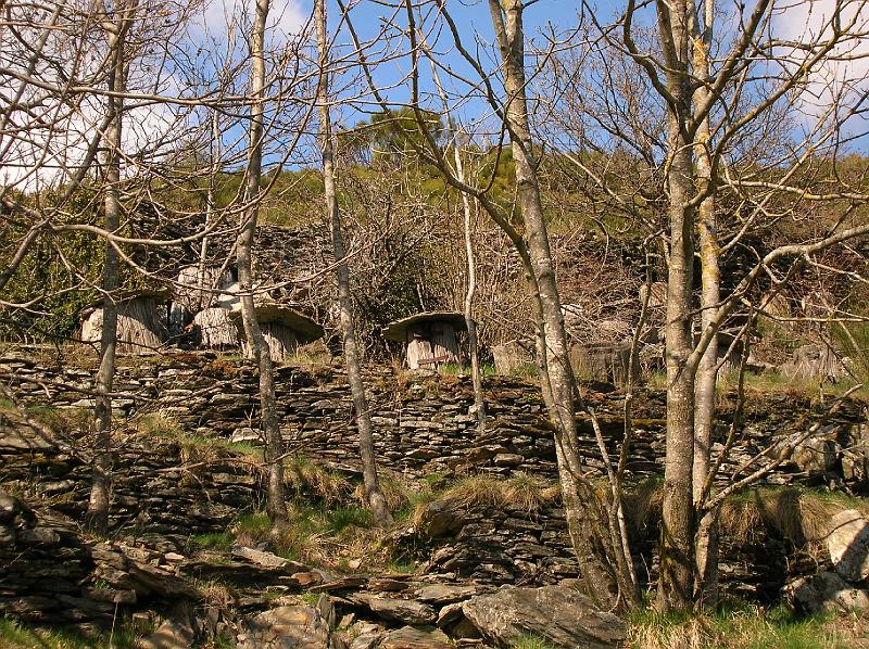 DSCN2893.JPG