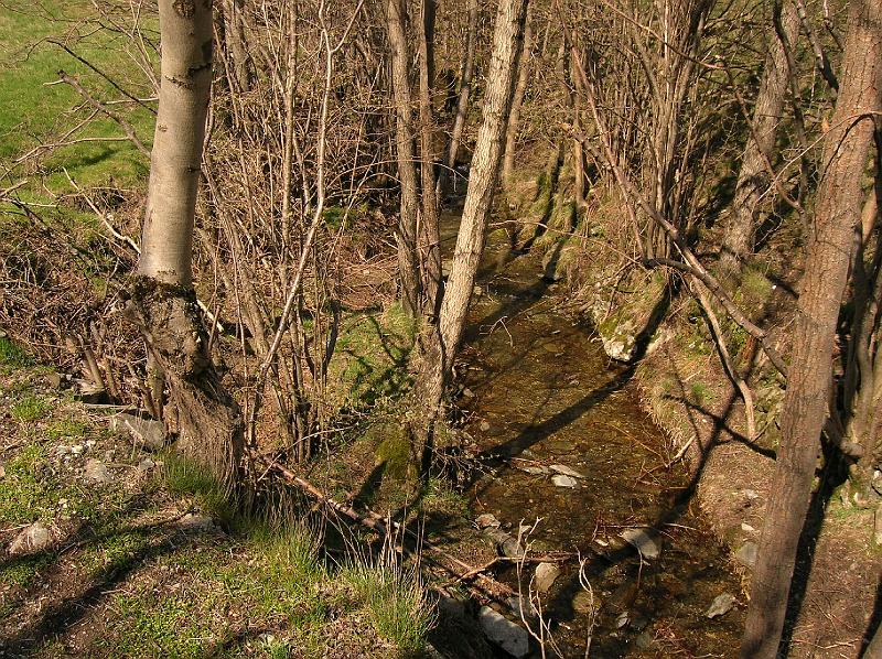 DSCN2897.JPG