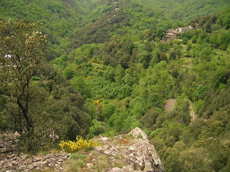 DSCN2990.JPG