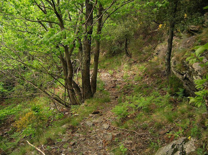 DSCN3003.JPG - Sentier où se convoyait autrefois le blé vers les moulins à farine, à dos d'homme.