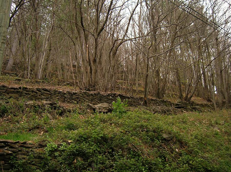DSCN2908.JPG