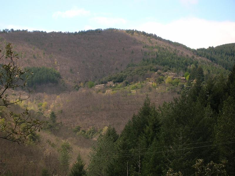 DSCN2919.JPG