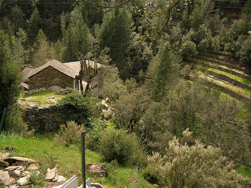 DSCN2920.JPG - La Lauzas, au bord du Dourdon