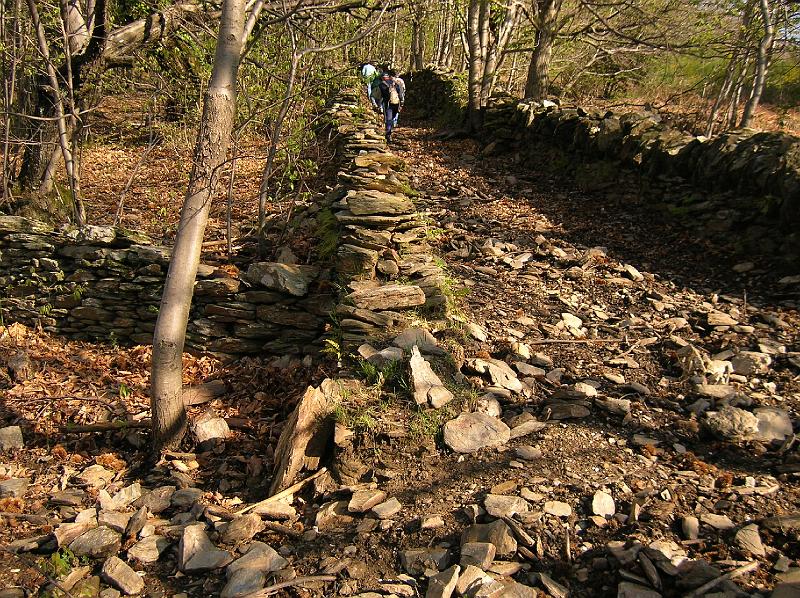 DSCN2933.JPG - Une calade dans la châtaigneraie